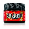 Beta Alanine Powder 300 gr