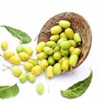 Guía de compra del árbol neem: ¿El complemento ideal para tu dieta y suplementos alimenticios?