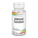 Adrenal Success: El secreto para una dieta equilibrada y suplementos alimenticios efectivos