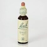 Holly: ¿El remedio floral de Bach ideal para complementar tu dieta y suplementos alimenticios?