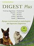 Dúo digestivo: Análisis de Digest Plus y su efectividad como suplemento alimenticio