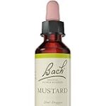 Análisis de la flor de Bach Mustard: ¿Cómo puede beneficiar tu dieta y bienestar?